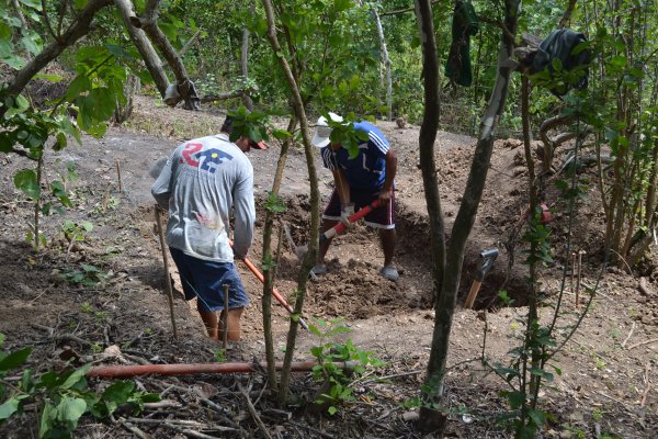 Digging septic tank